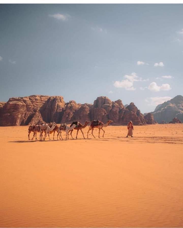 Bed and Breakfast Wadi Rum Galaxy Camp Exterior foto